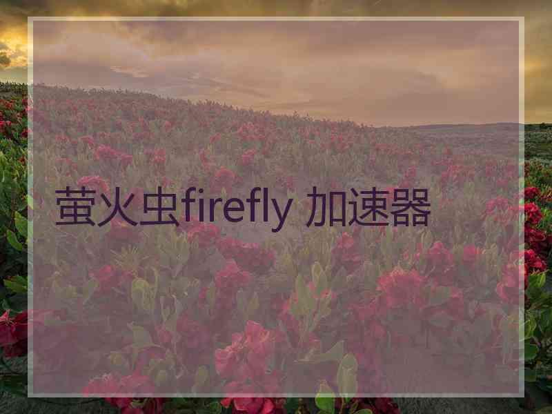 萤火虫firefly 加速器