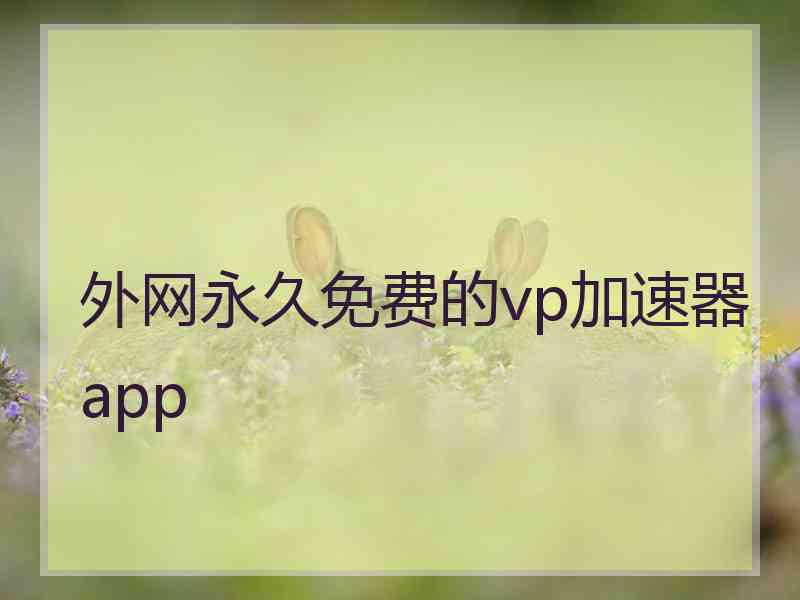 外网永久免费的vp加速器app