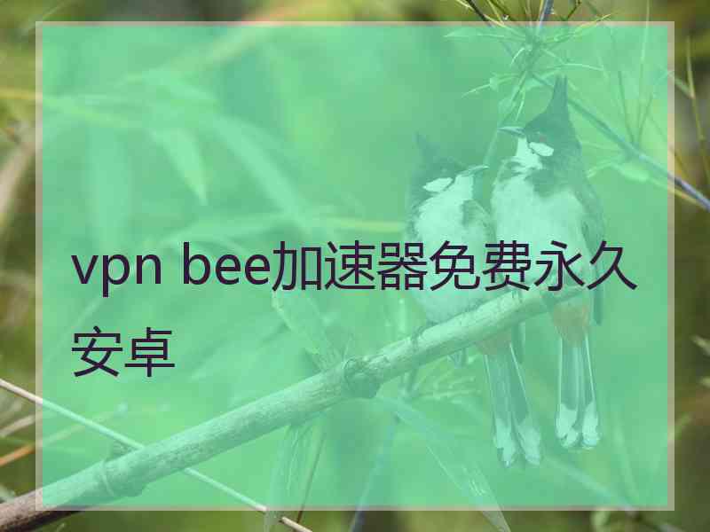 vpn bee加速器免费永久安卓