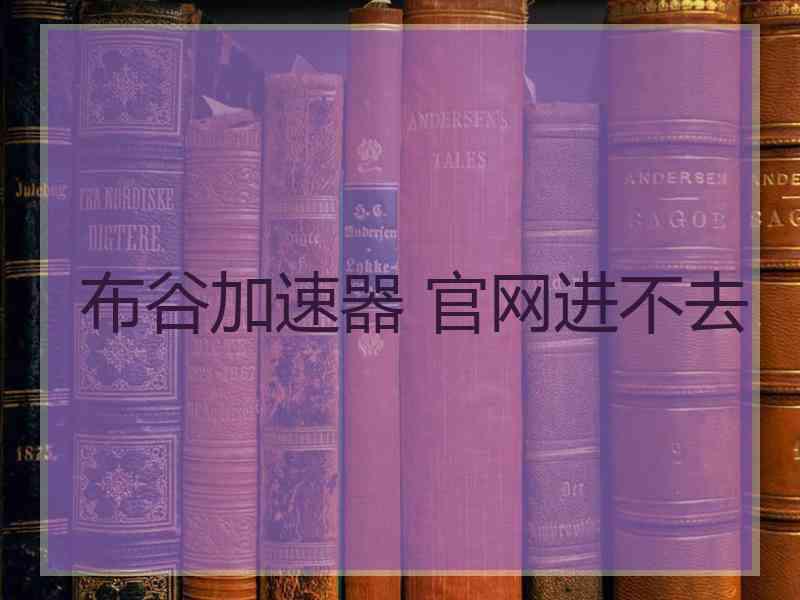 布谷加速器 官网进不去