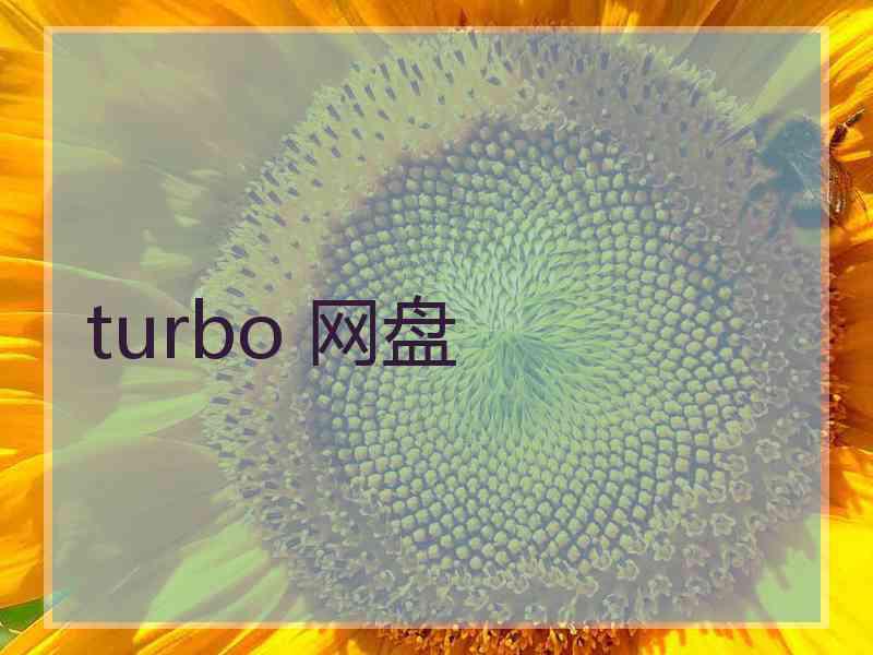 turbo 网盘