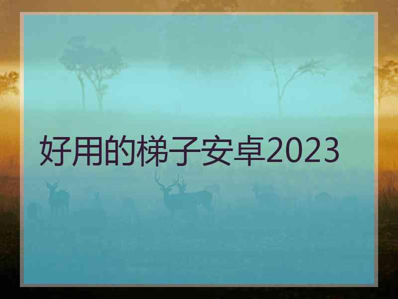 好用的梯子安卓2023