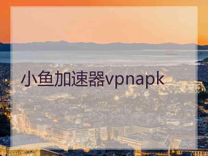 小鱼加速器vpnapk