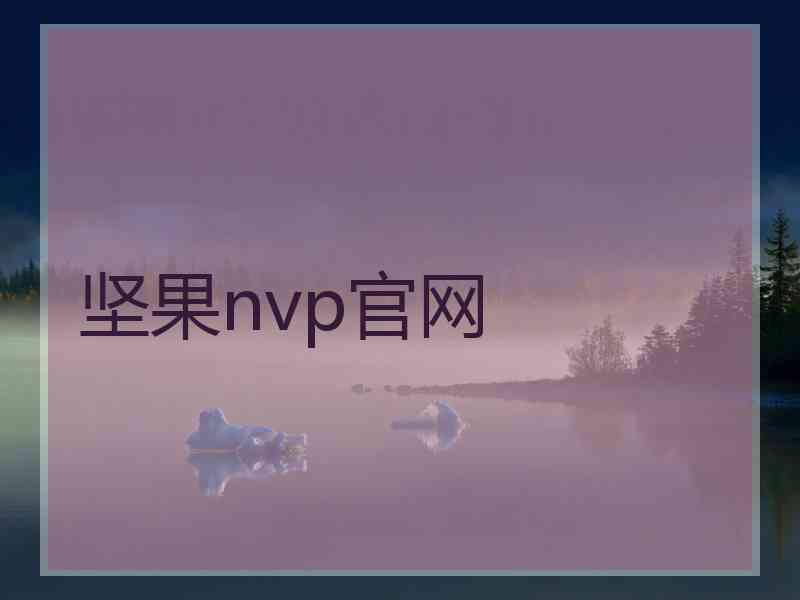 坚果nvp官网