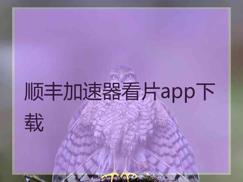 顺丰加速器看片app下载