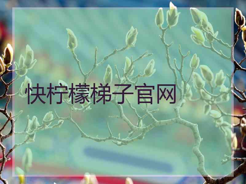 快柠檬梯子官网