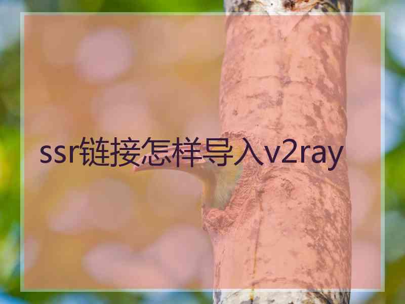 ssr链接怎样导入v2ray