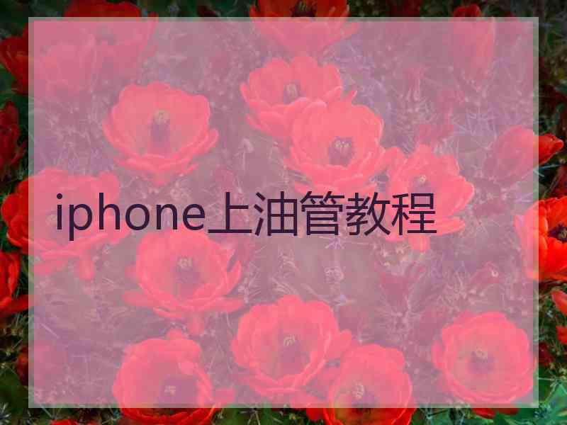 iphone上油管教程