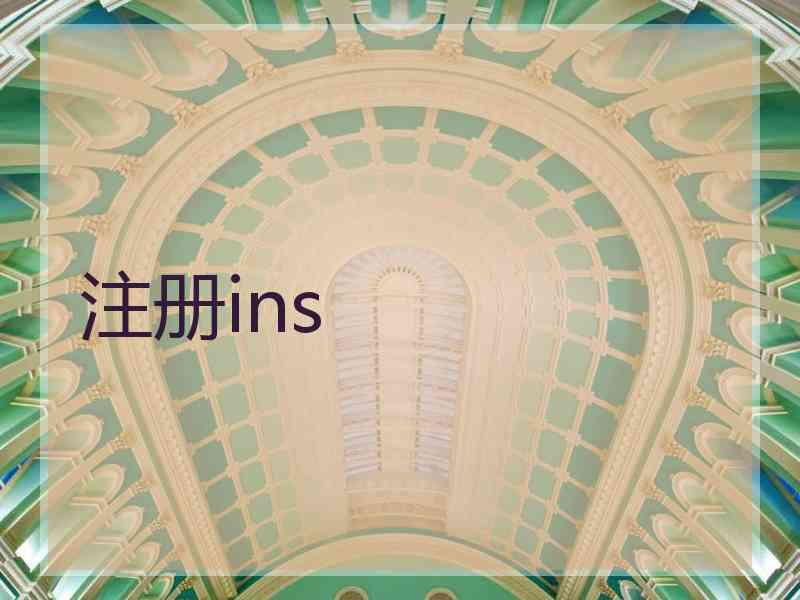 注册ins