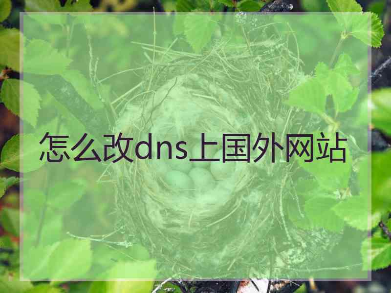 怎么改dns上国外网站