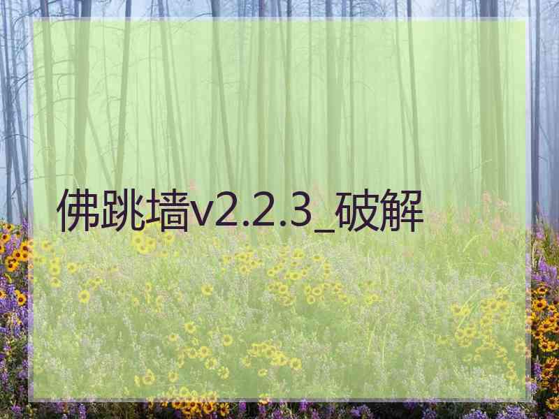 佛跳墙v2.2.3_破解