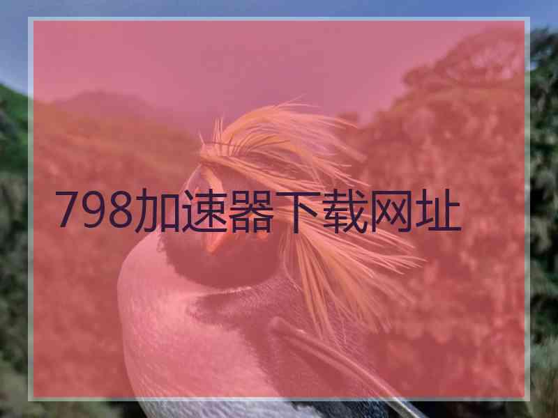 798加速器下载网址