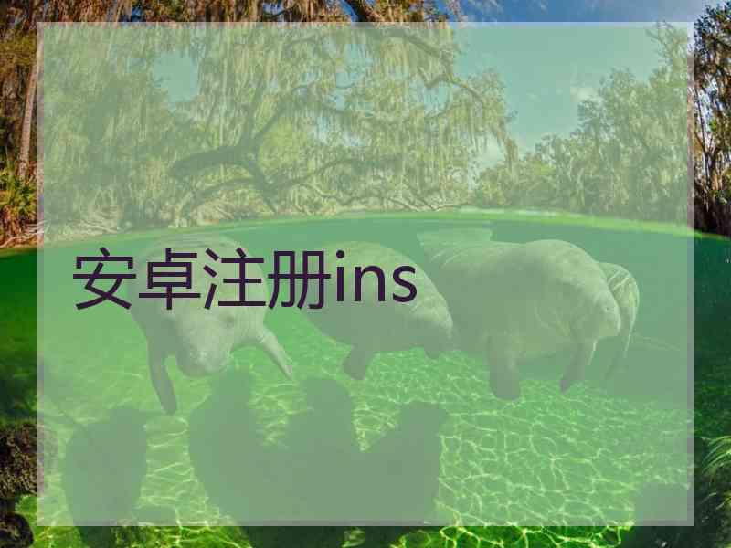 安卓注册ins