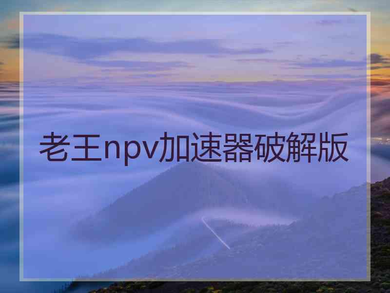 老王npv加速器破解版