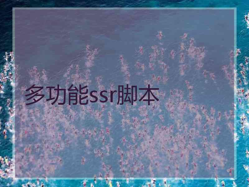 多功能ssr脚本