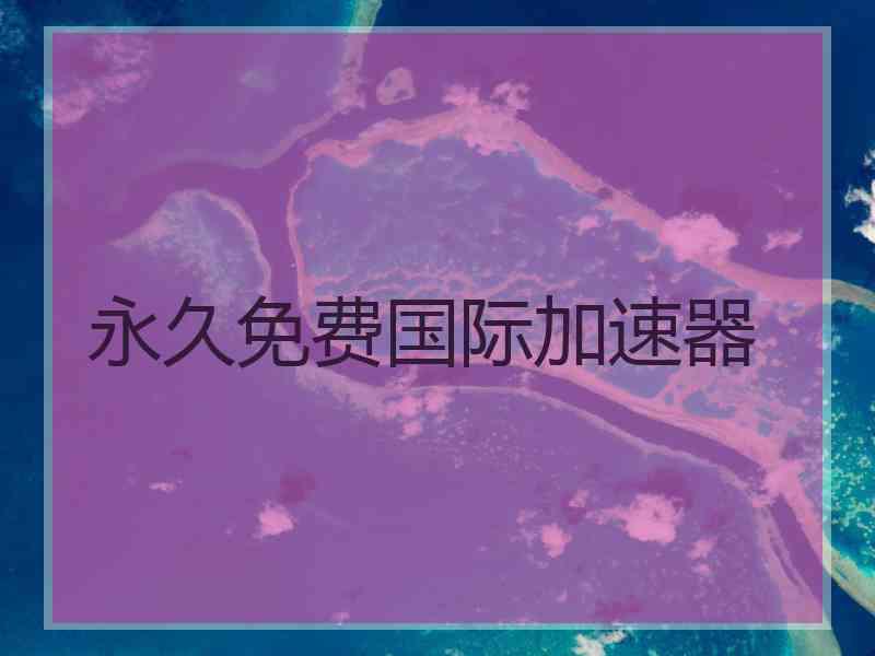 永久免费国际加速器