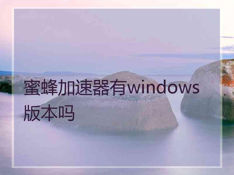 蜜蜂加速器有windows版本吗