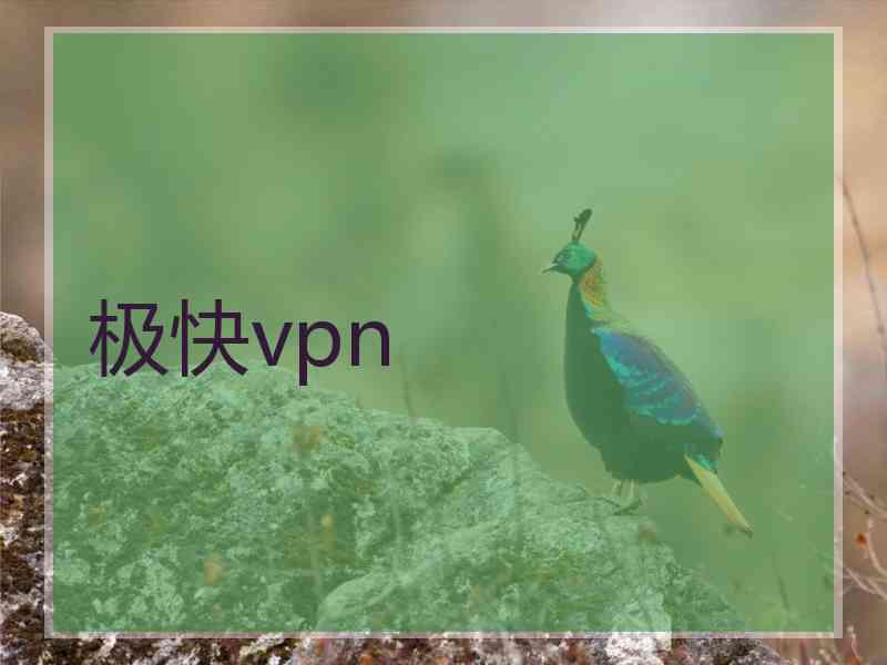 极快vpn