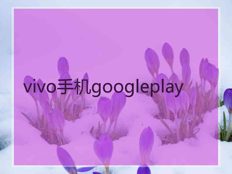 vivo手机googleplay