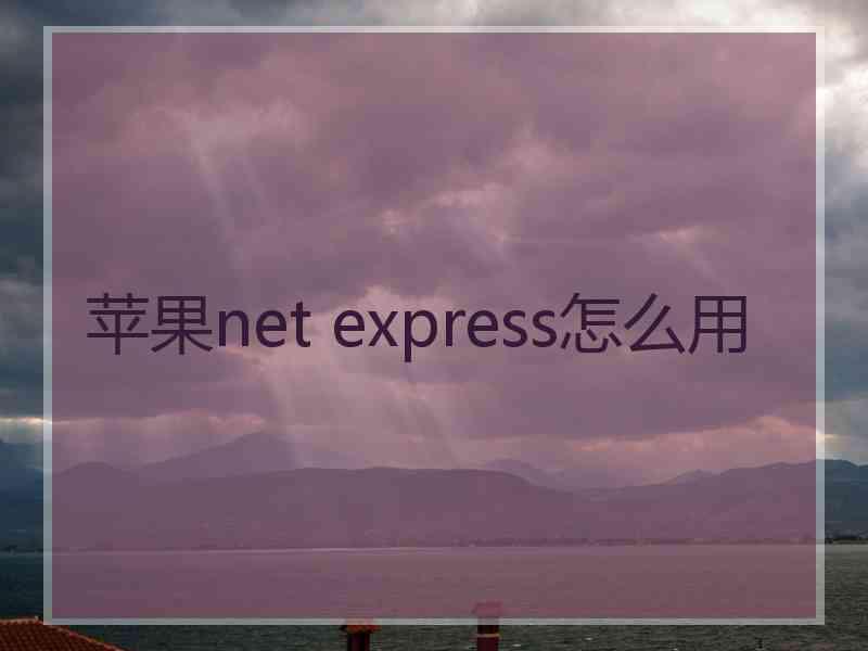 苹果net express怎么用