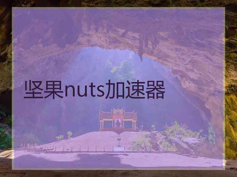 坚果nuts加速器