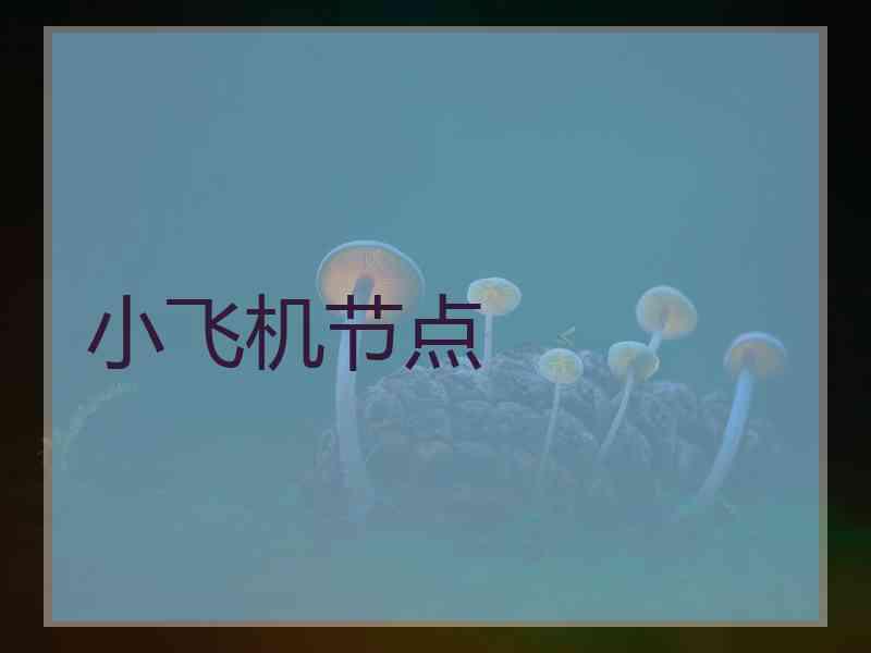 小飞机节点