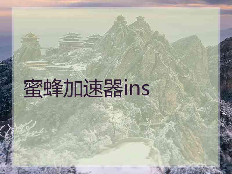 蜜蜂加速器ins