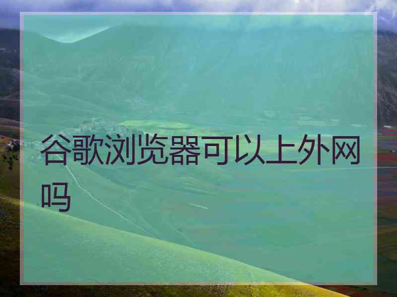 谷歌浏览器可以上外网吗