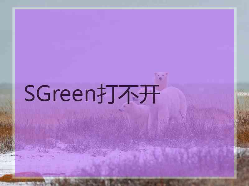 SGreen打不开