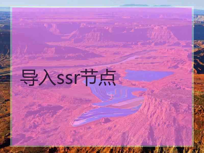 导入ssr节点