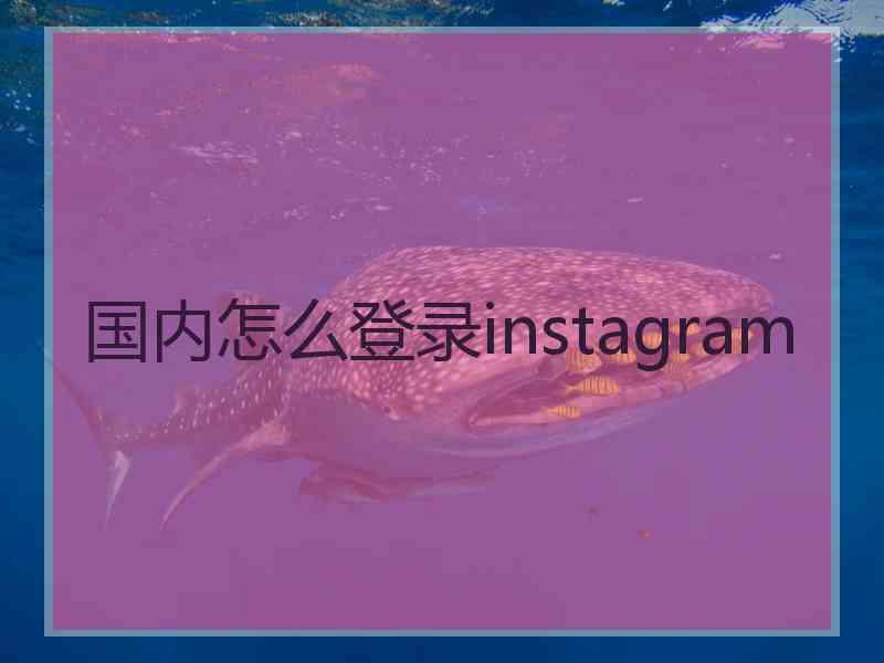 国内怎么登录instagram