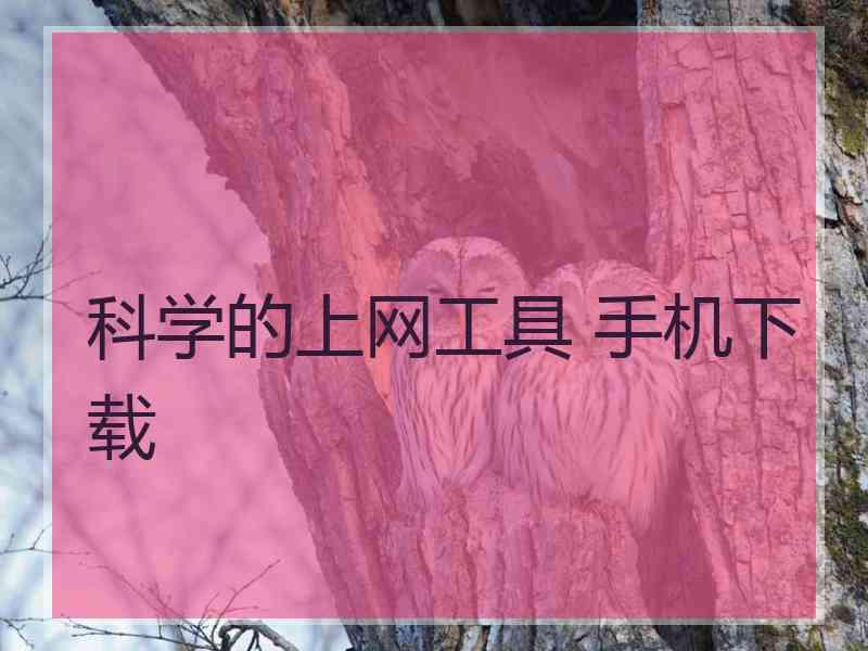 科学的上网工具 手机下载