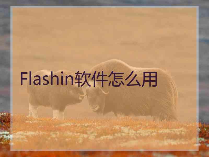 Flashin软件怎么用