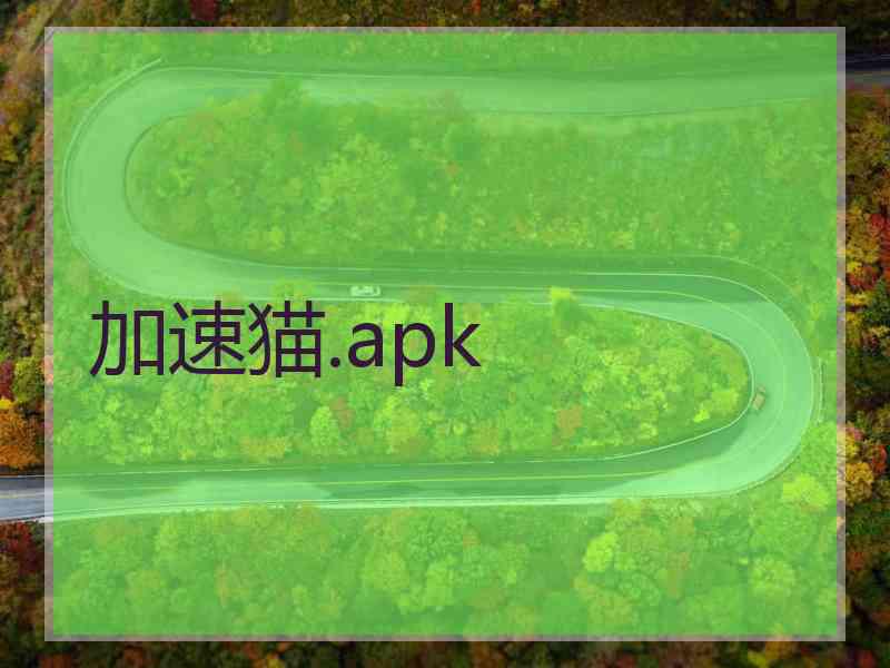 加速猫.apk