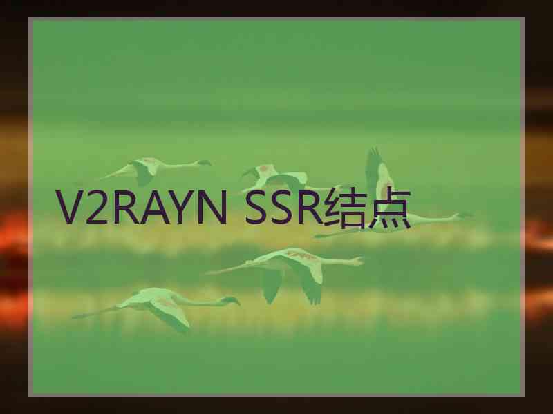 V2RAYN SSR结点