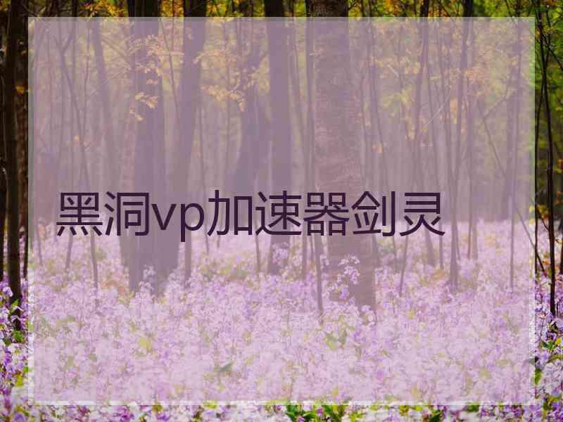 黑洞vp加速器剑灵