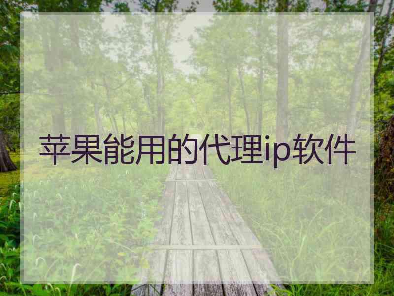 苹果能用的代理ip软件