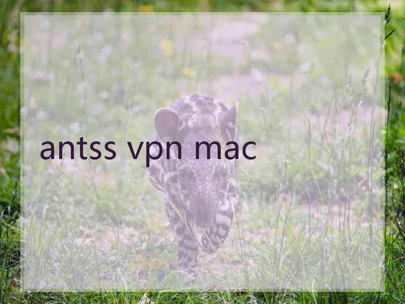 antss vpn mac