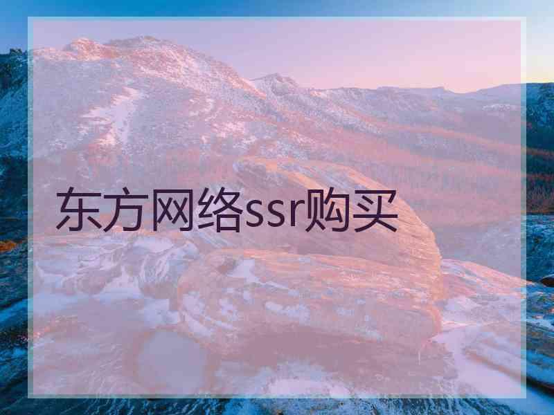 东方网络ssr购买