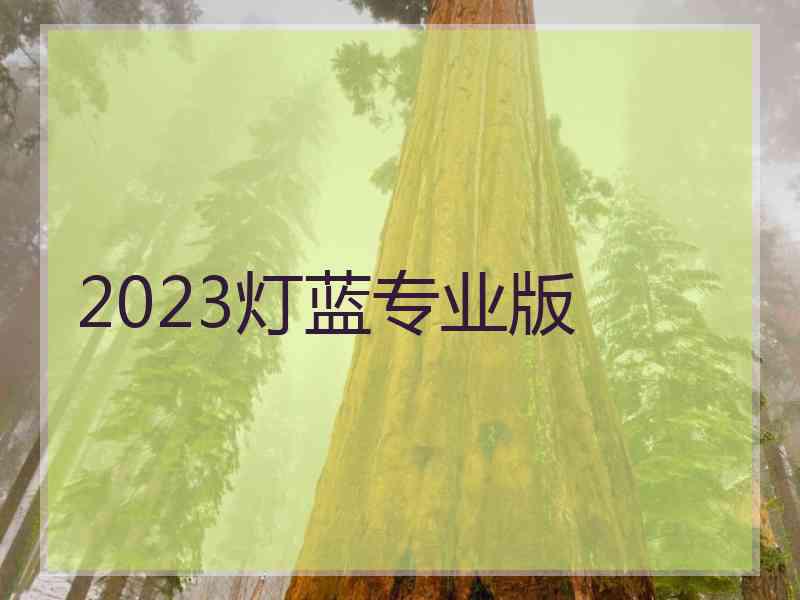 2023灯蓝专业版