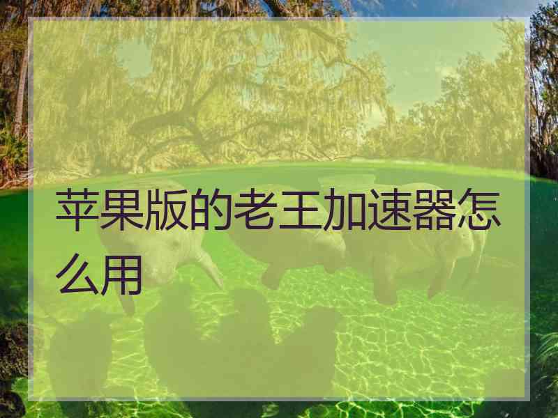 苹果版的老王加速器怎么用