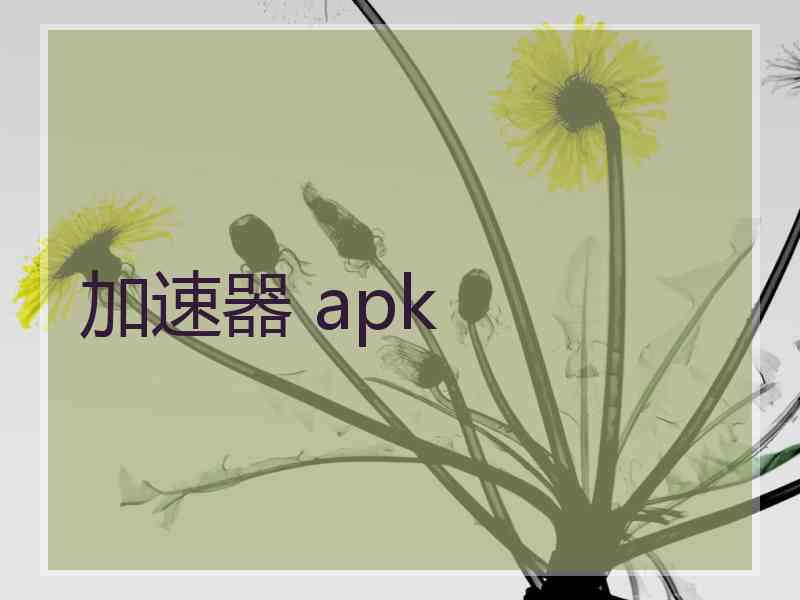 加速器 apk