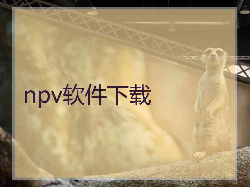 npv软件下载