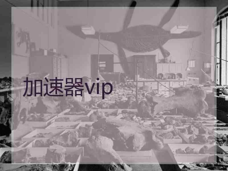 加速器vip