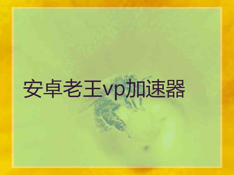 安卓老王vp加速器