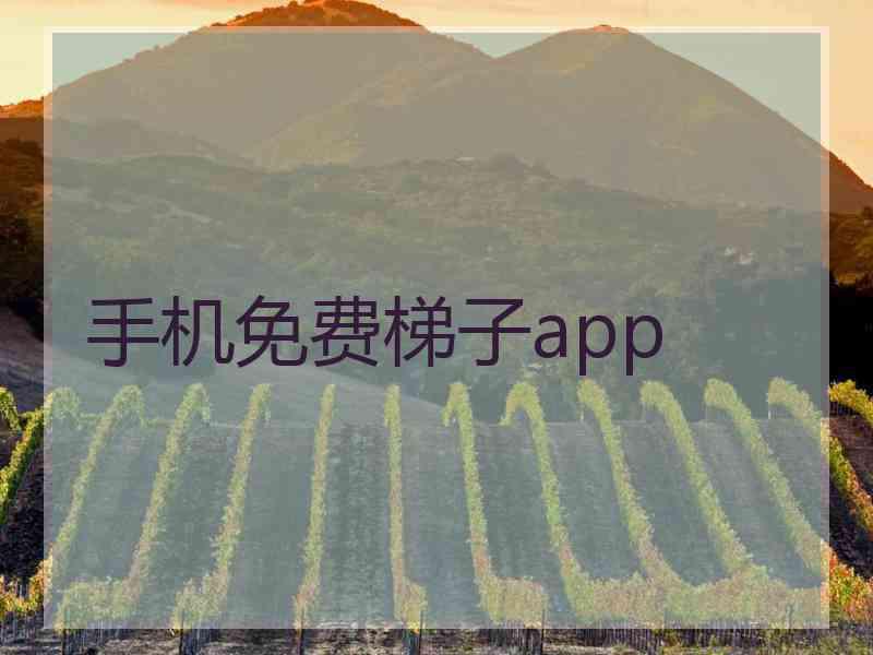 手机免费梯子app