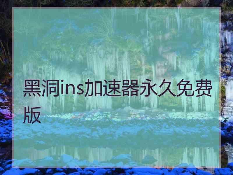 黑洞ins加速器永久免费版