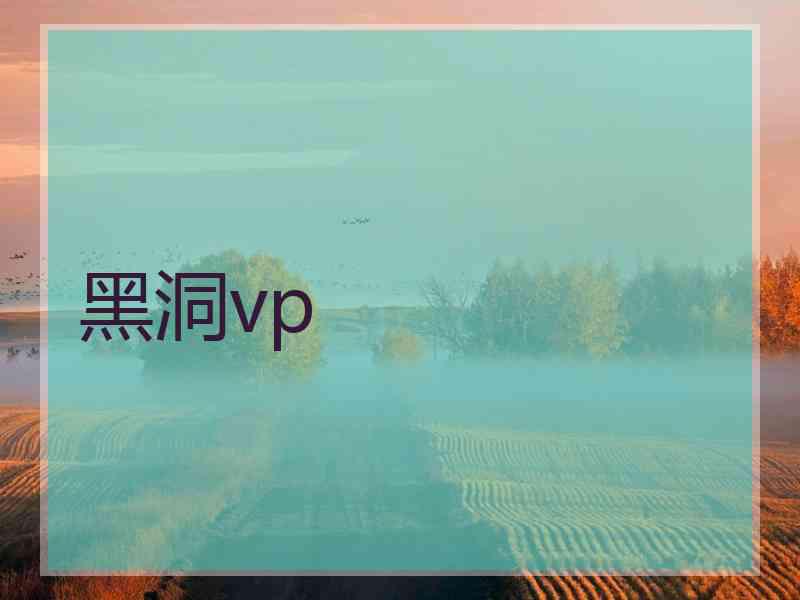 黑洞vp