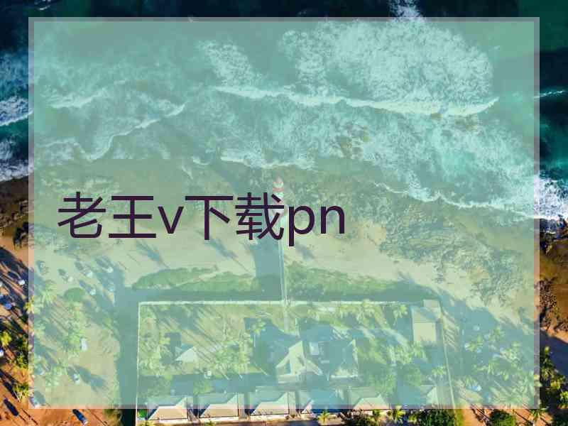 老王v下载pn