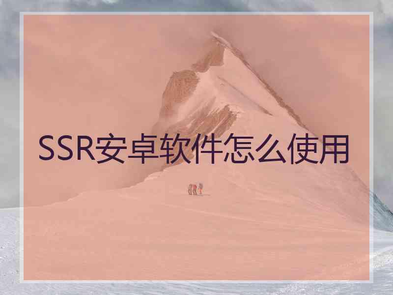 SSR安卓软件怎么使用